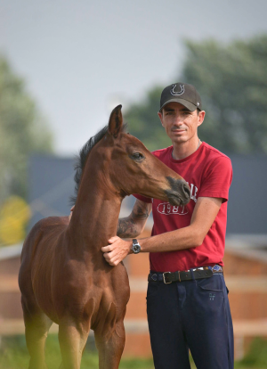 PHOTOGRAPHE-CHEVAUX-PERPIGNAN