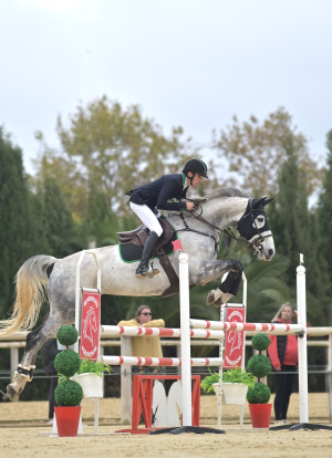 photographe-chevaux-66
