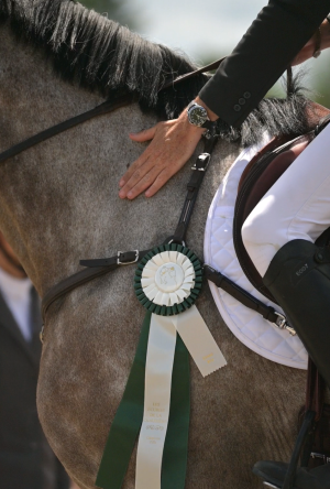 photographe-equin-66