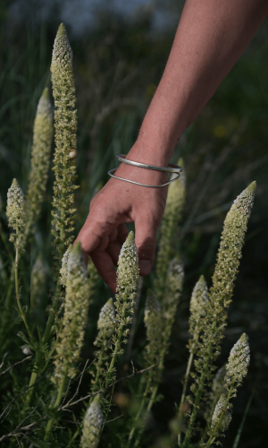 seance-photo-naturopathe